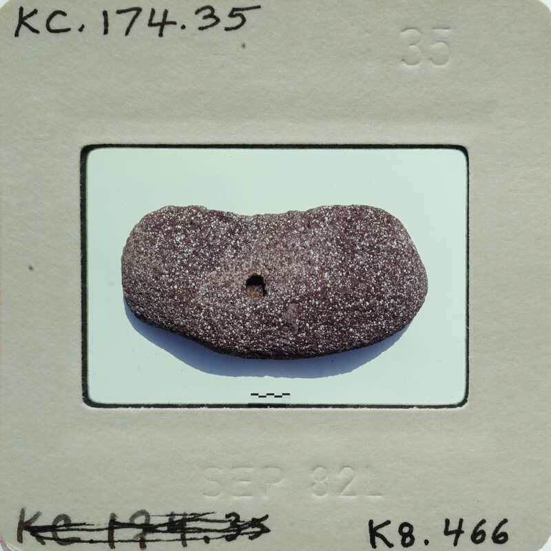 A small, round rock with a hole through it on a white surface.