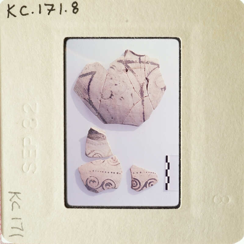 Photograph of broken pottery pieces with designs, displayed on a white surface.