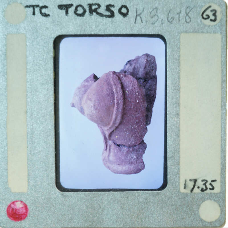 Terracotta figurine torso from side.