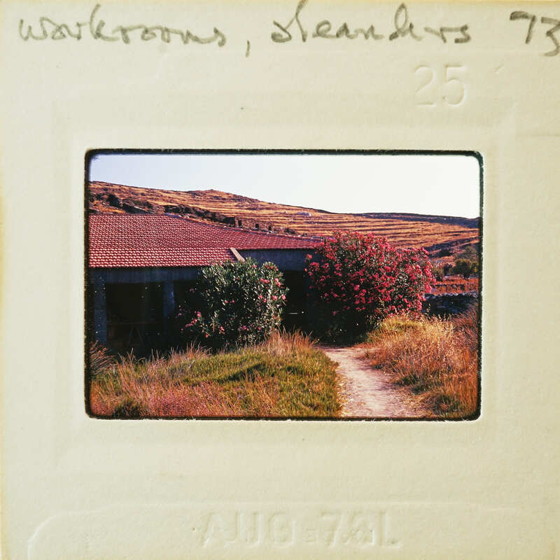 A vintage photo of a house with a pink flowering tree and mountainous landscape behind it.