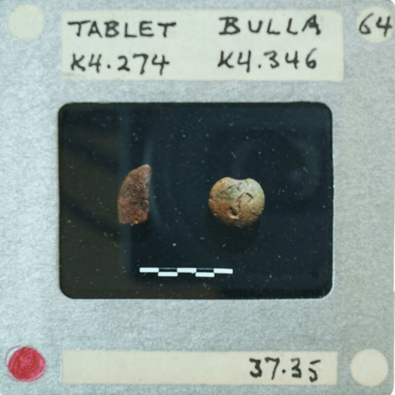 Two small, round objects on a clear surface with labels and numbers indicating scientific study or identification.