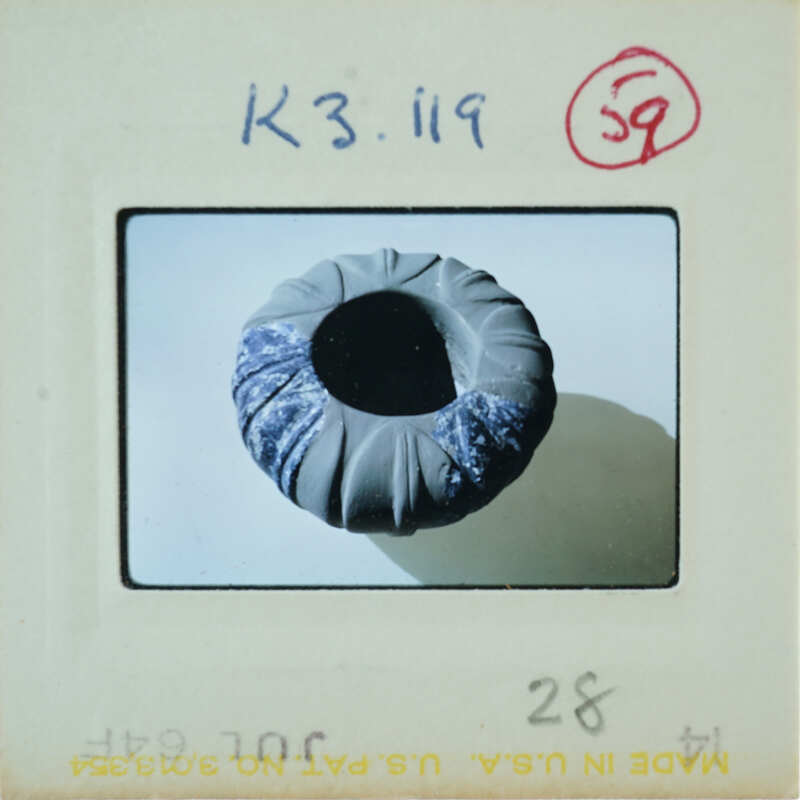 A close-up photograph of a sea shell with a dark interior and a patterned exterior, against a white background.