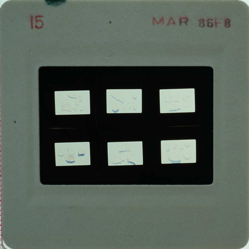 A slide of multiple slides of painted wall plaster fragments