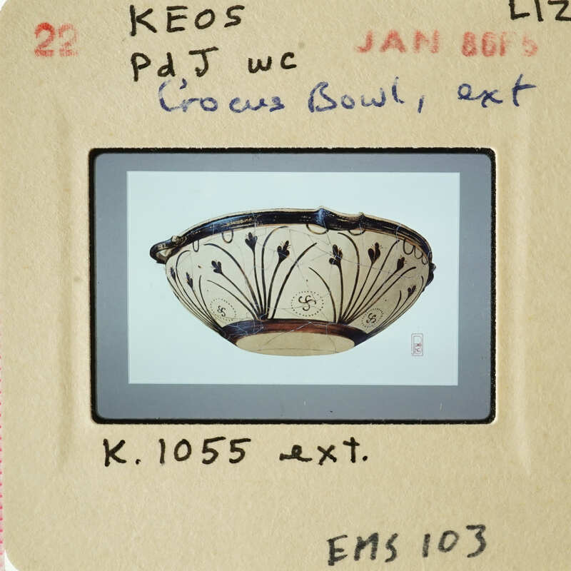 A photograph of an ancient Greek vase with floral patterns.