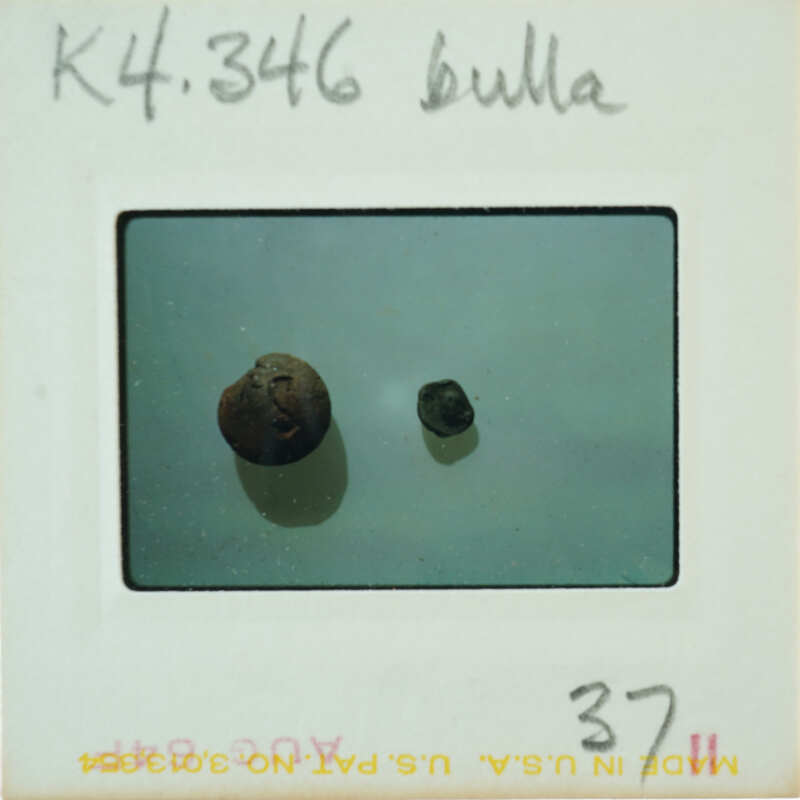 Two small round objects on a white surface, possibly beads or seeds.