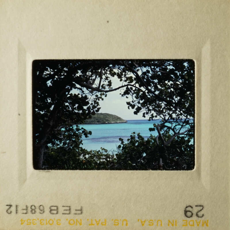 The photo shows a serene beach scene with palm trees and clear blue water, captured on a vintage film strip.