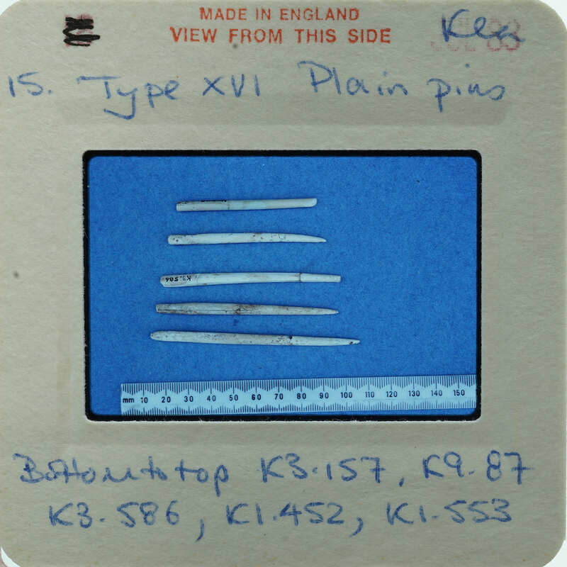 A collection of bone needles displayed on a blue background.