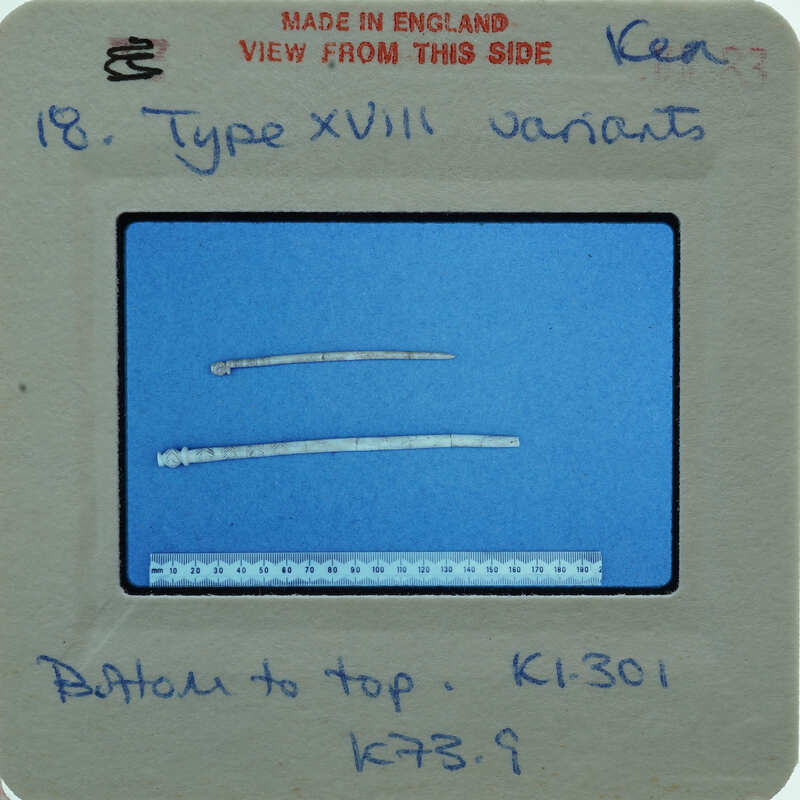 Two bone needles on blue surface.