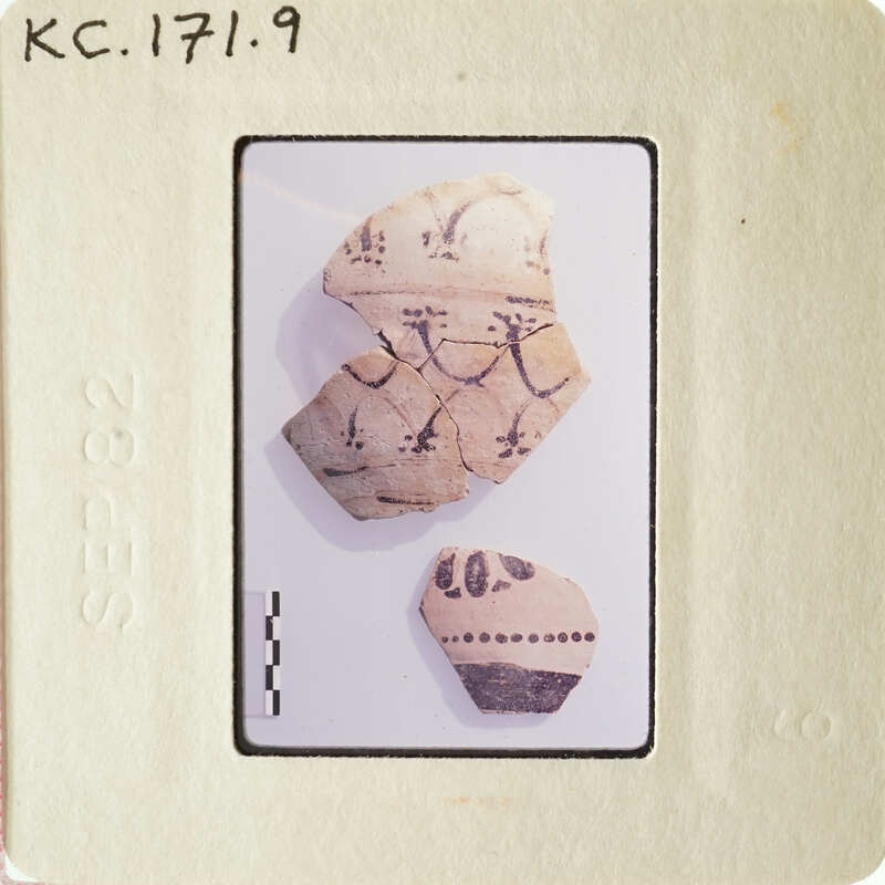 Photograph of ancient pottery shards on white surface.