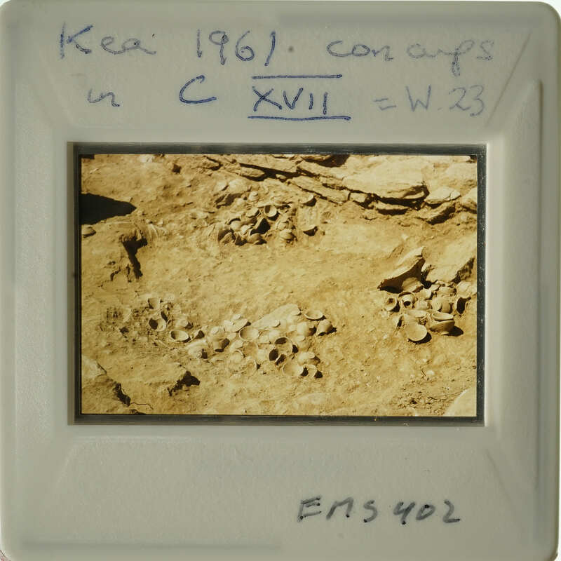 Ancient archaeological site with numerous artifacts.