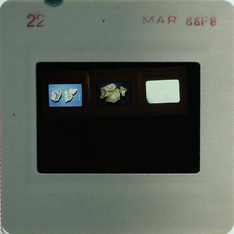 A slide of multiple slides of painted wall plaster fragments