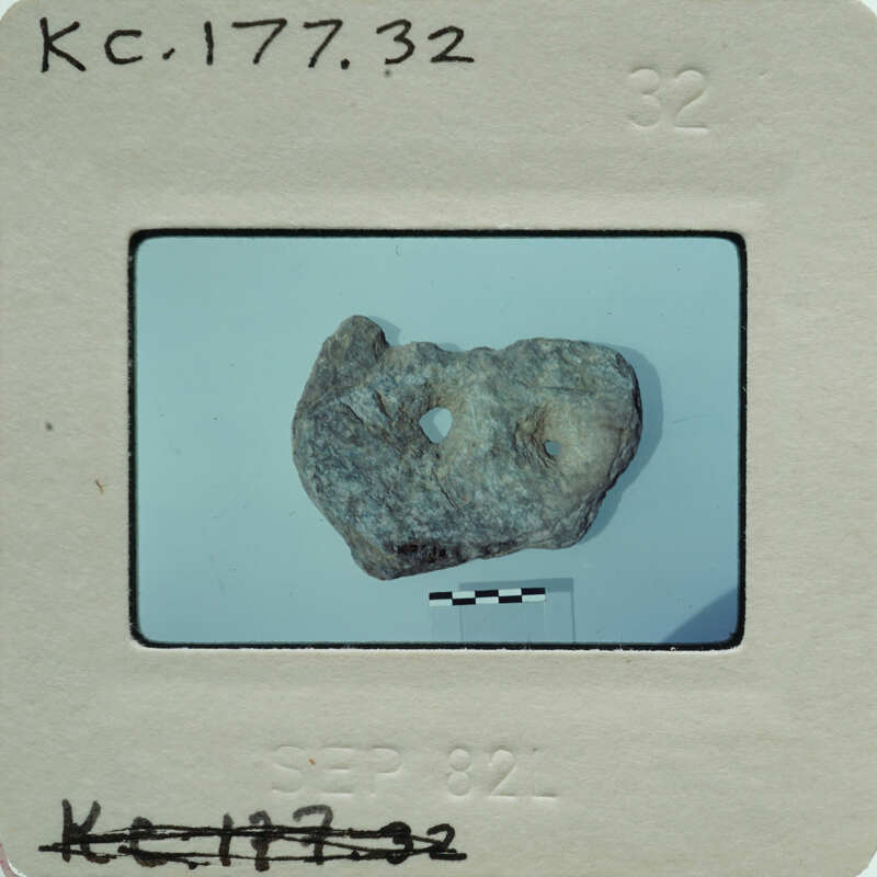 A small, irregularly shaped rock with a rough texture and various markings on it.