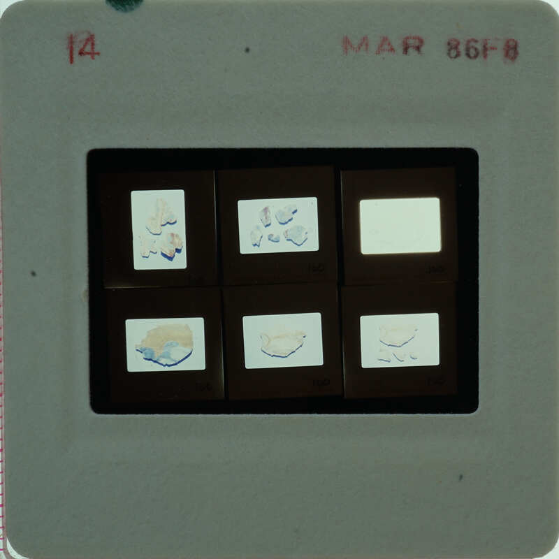 A slide of multiple slides of painted wall plaster fragments
