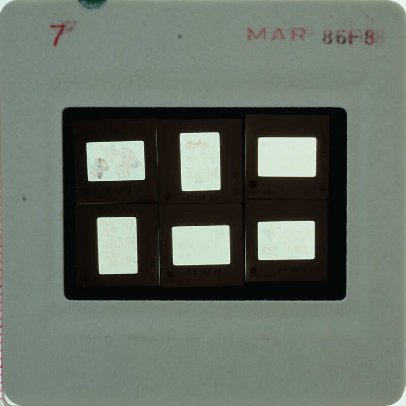 A slide of multiple slides of painted wall plaster fragments