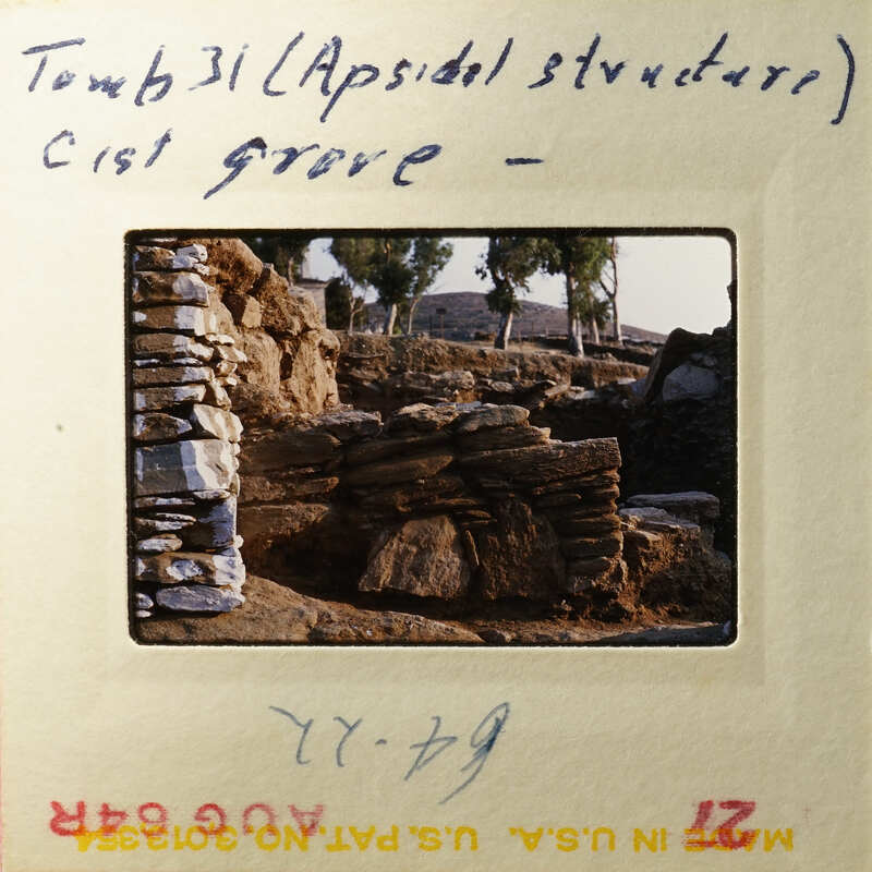 Ancient ruins with stone walls and trees in the background.