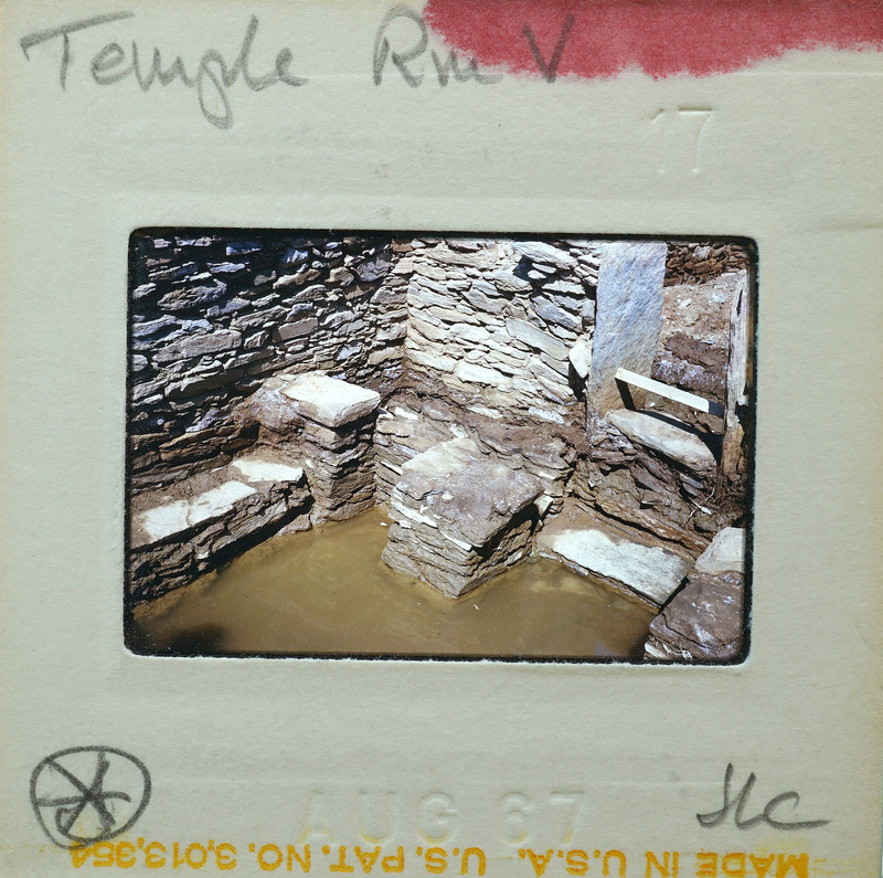 Stone ruins with steps and a muddy area.