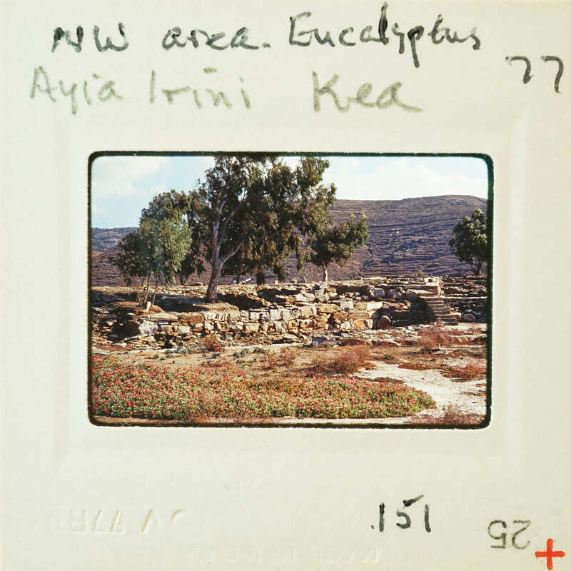 The image shows an old, abandoned building with trees and a mountainous landscape in the background.