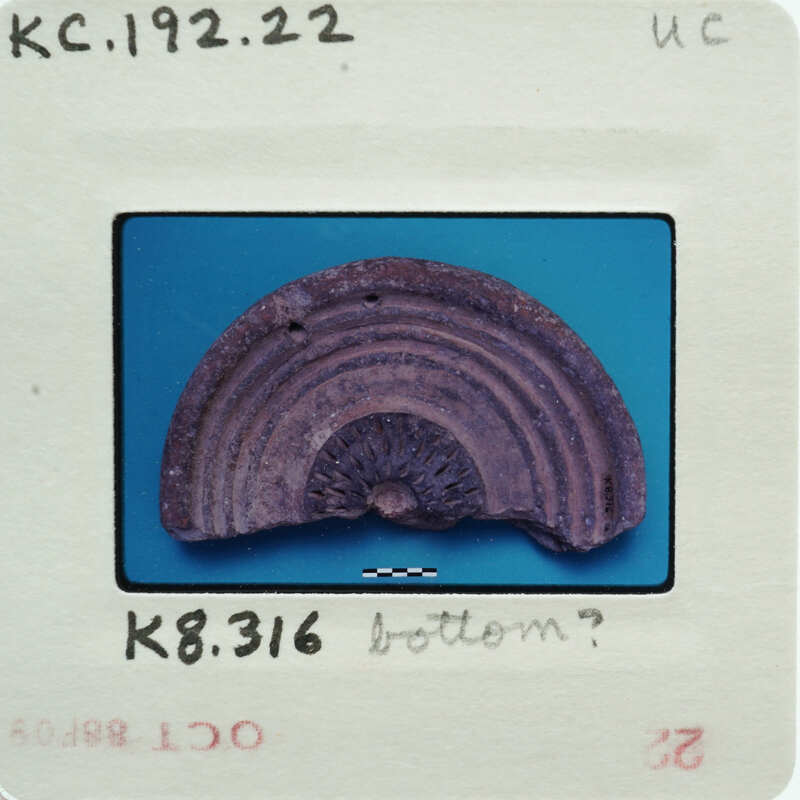 An image of a small, round object with concentric rings, possibly an artifact or a natural sample, placed on a blue background.