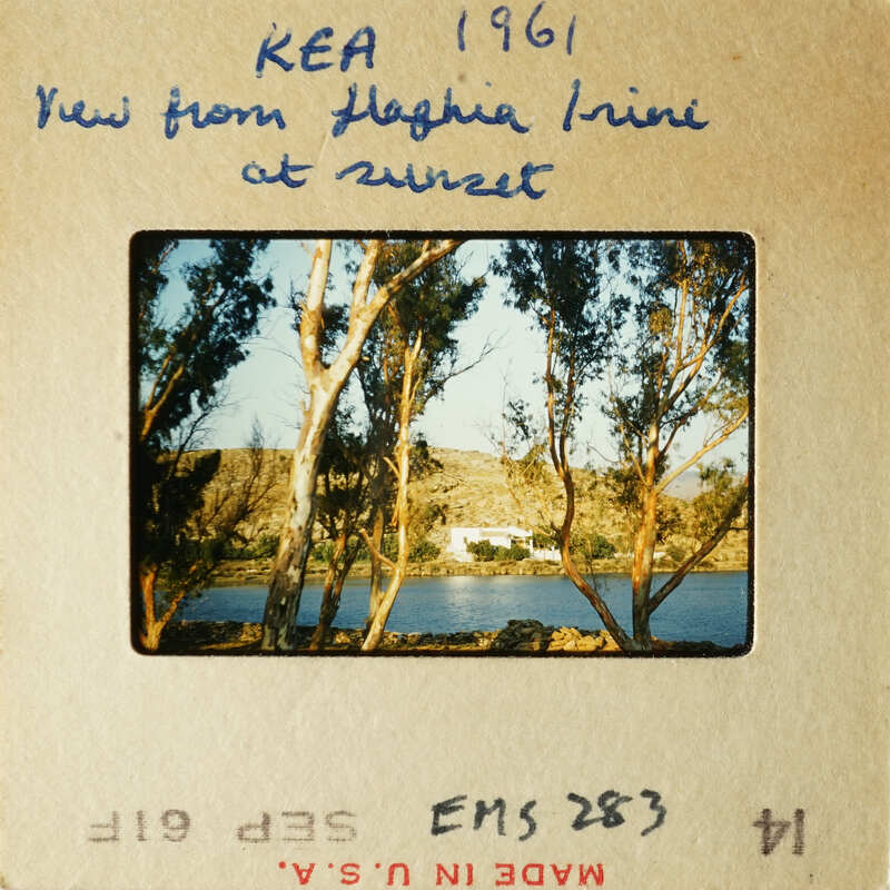 View from Haghia Irini at Sunset, 1961 with trees and water.