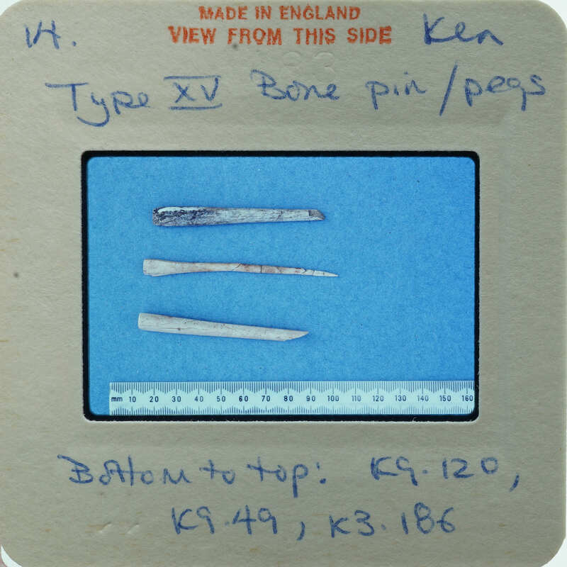 A collection of old bone pins or pegs with a label and measurements.
