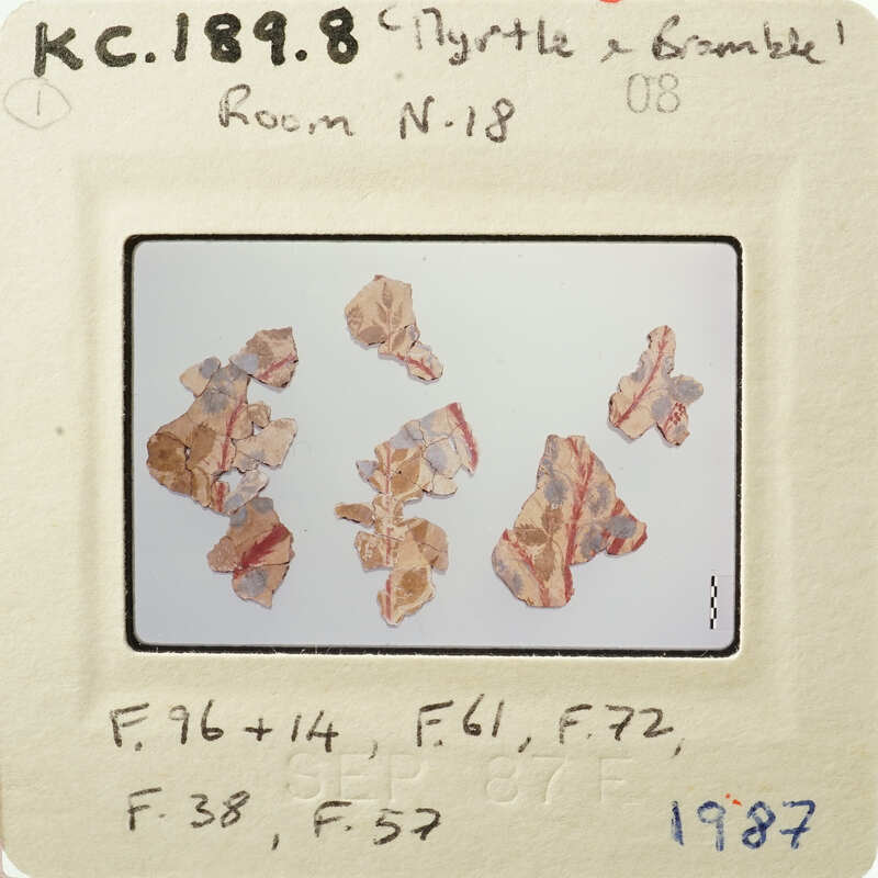 The image shows several small, red and white objects on a surface.