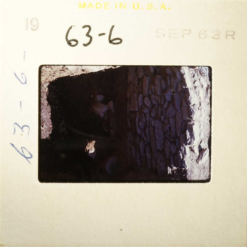 A sepia-toned photograph of an old tree trunk with visible bark texture and roots, taken on September 1963.