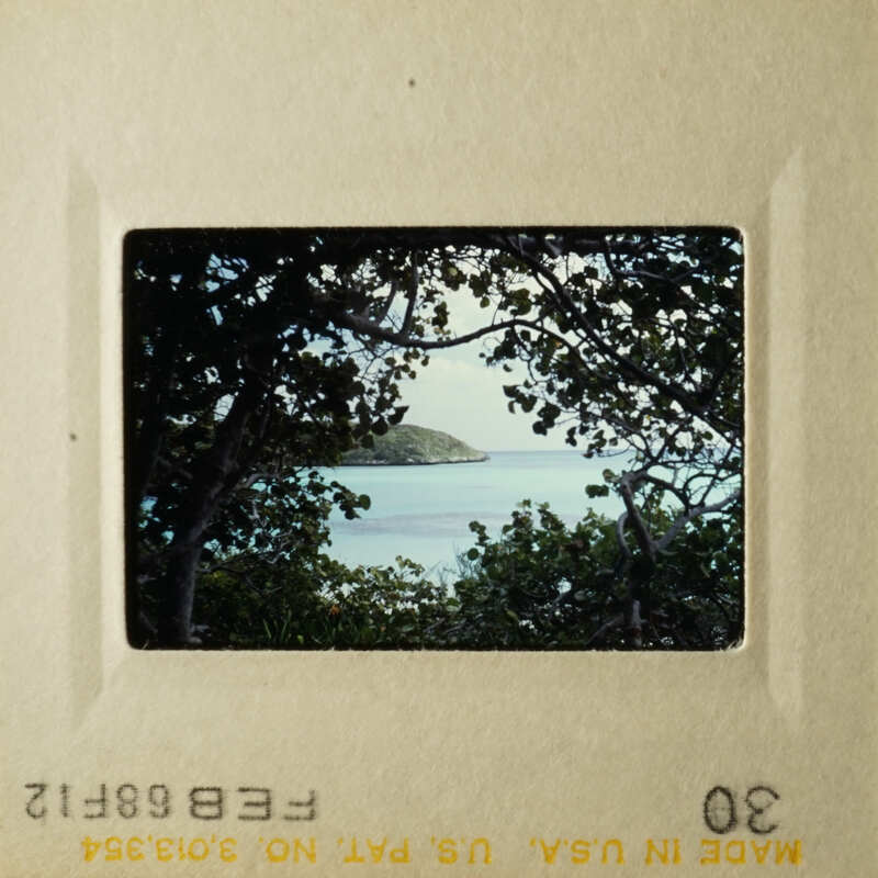 This is an image of a tropical beach scene with palm trees and clear blue water, taken from a distance through a window frame.