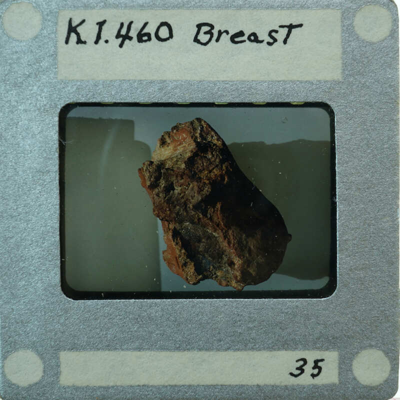 Interior of breast fragment of K1.460.