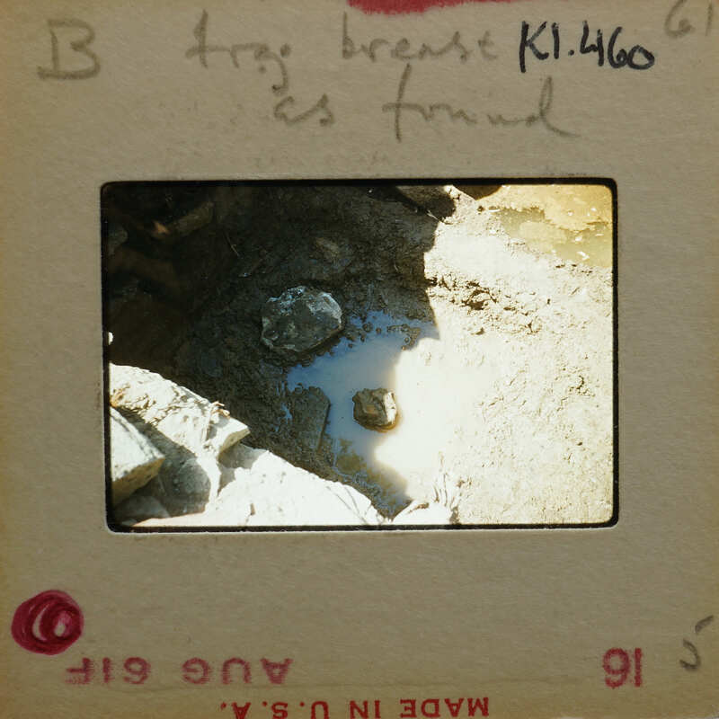 Muddy surface with terracotta fragment (K1.460).