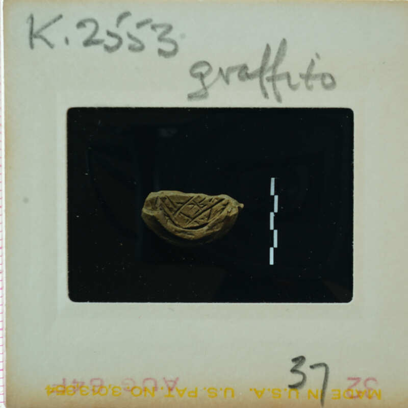 A small, dark object with markings on a clear surface.