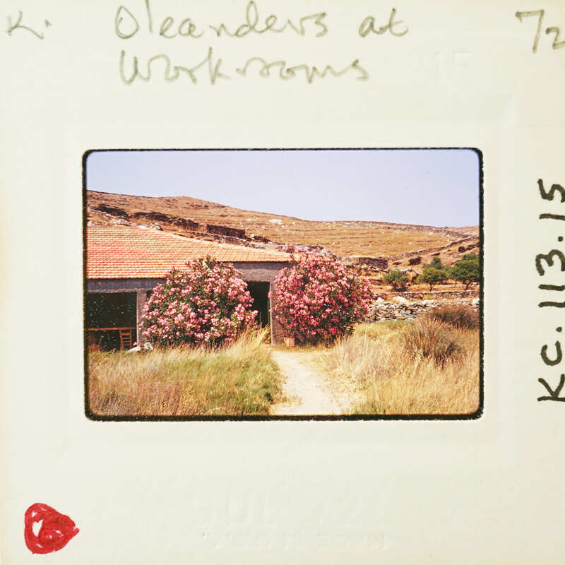 A photograph of a rural building with pink flowers and mountains in the background, taken on November 13, 1975.