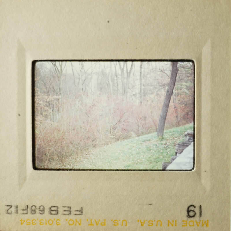 Two vintage photos depicting outdoor scenes, possibly taken by a photographer named "Susan" and featuring a landscape with trees and a path.