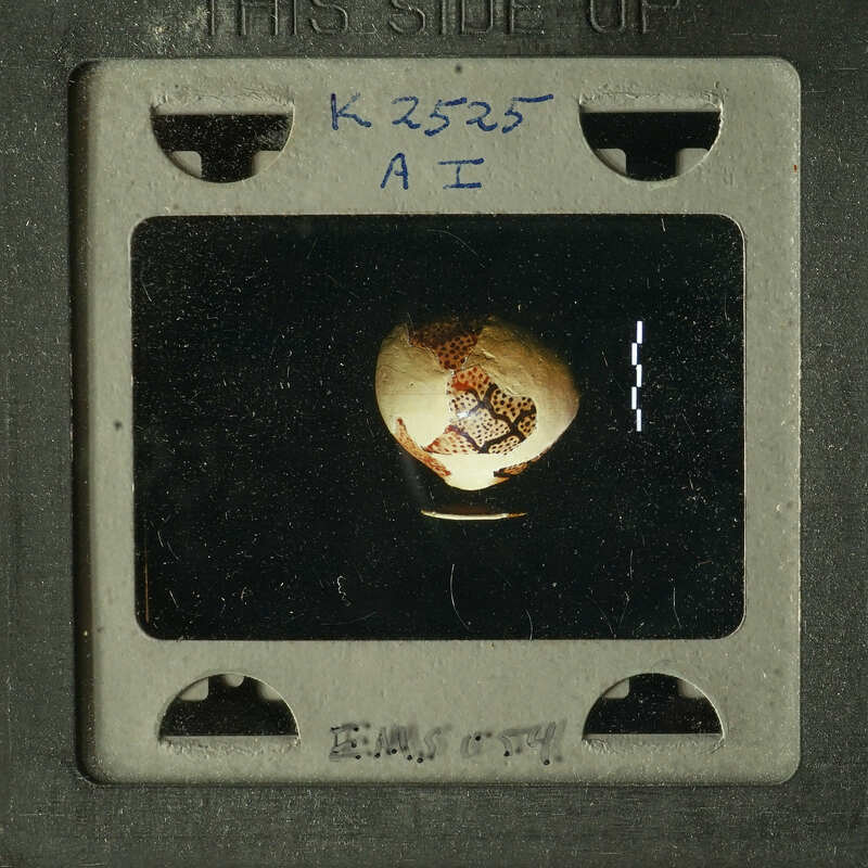 A photograph of an ancient artifact, possibly a map or globe, with visible writing and markings on its surface.