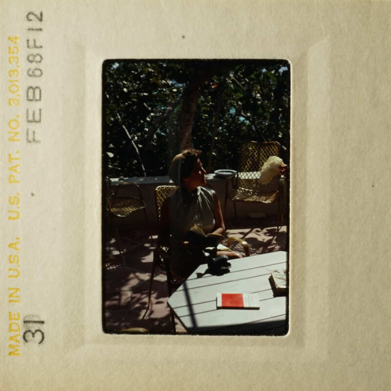 A vintage photograph of a woman sitting at an outdoor table, with a cat nearby and a dog in her lap.