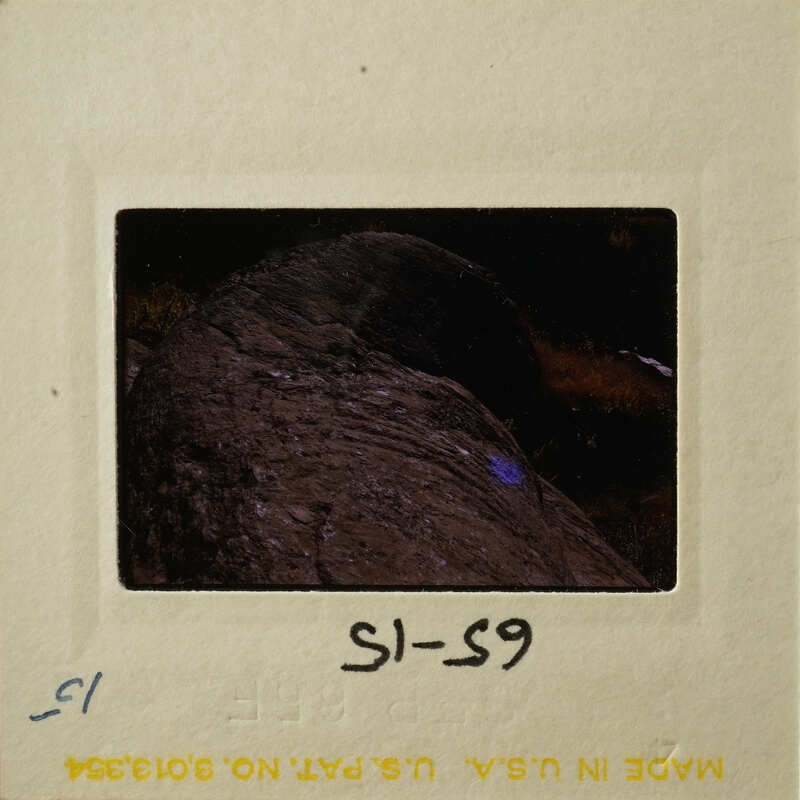 A photograph showing an outdoor scene with rocks and foliage at night, captured on film.