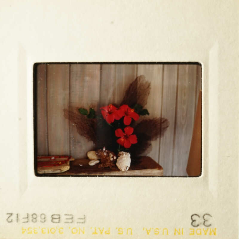 Two photos showing vintage Polaroid pictures with floral arrangements and a small seashell on a table, placed in a wooden frame.