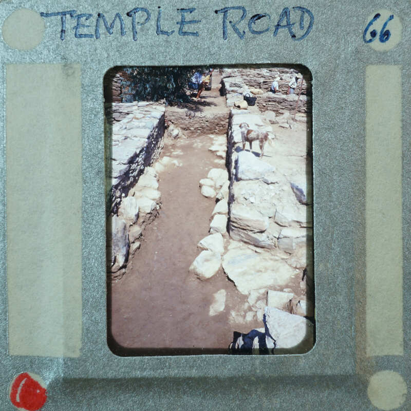 Parallel wall with surface between them with people and a dog.