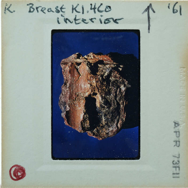 Fragment of terracotta face showing interior K1.459.