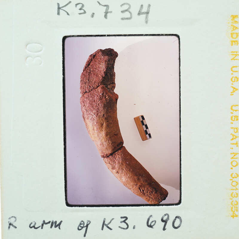 A photograph of a large, curved object with a rough texture resembling an oversized banana or some kind of artifact.