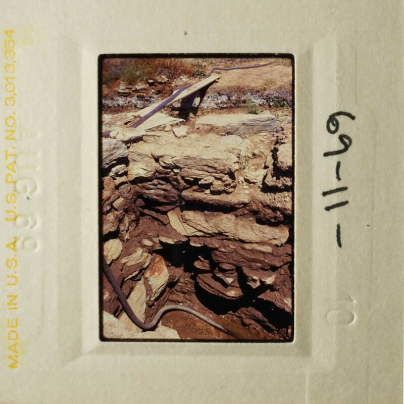 A vintage photo of a rocky hillside with a small animal on top.