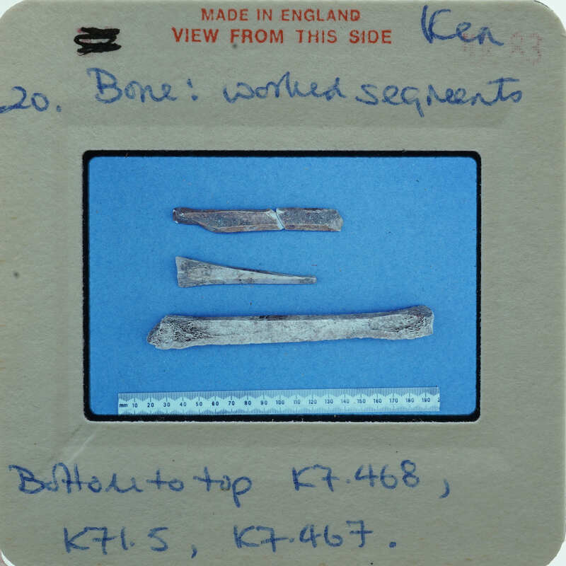 Three long thin bone tools on blue surface.