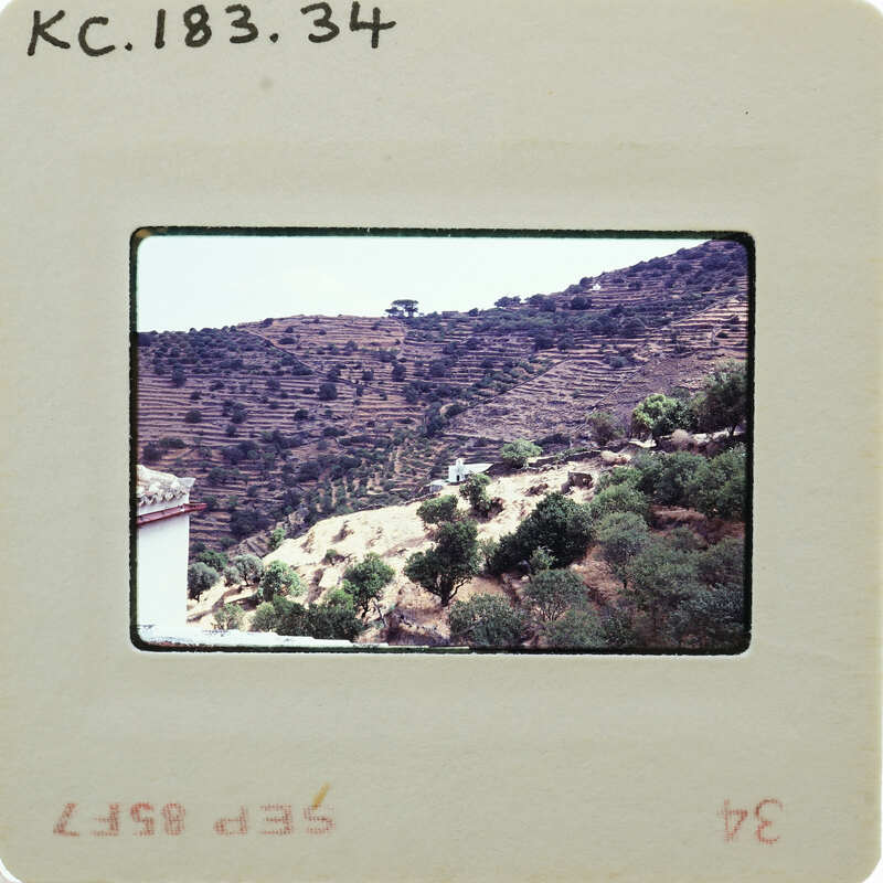The image shows a photograph of a mountainous landscape with trees and shrubs, displayed on an old-fashioned film strip.
