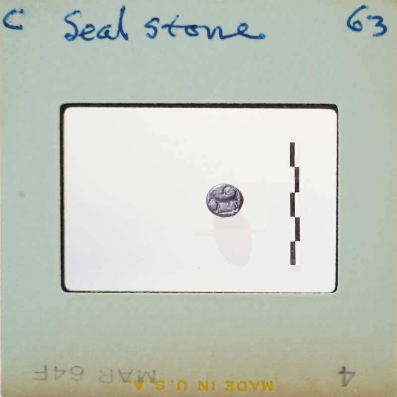 A small, round object on a white background with black grid lines and handwritten notes.