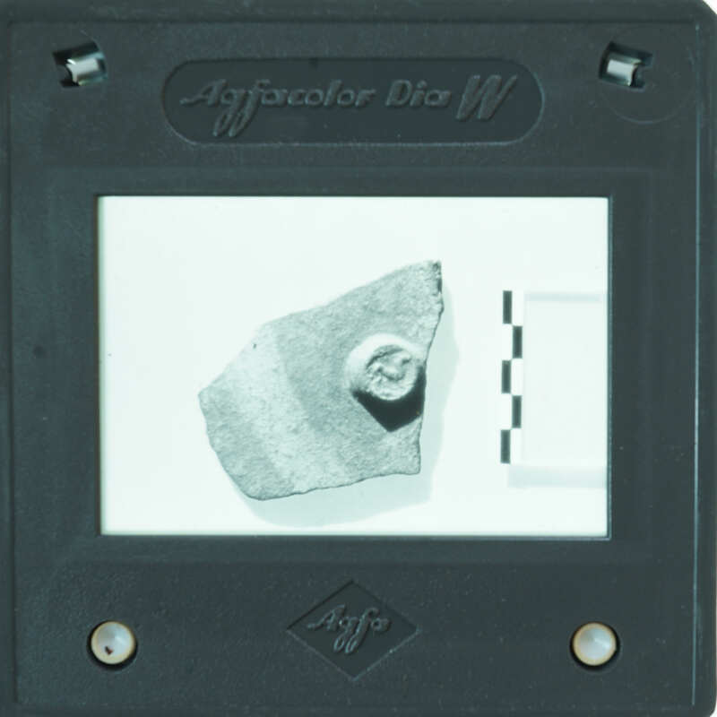 A close-up image of a rock with an imprint, displayed on a device with measurement lines and labels.
