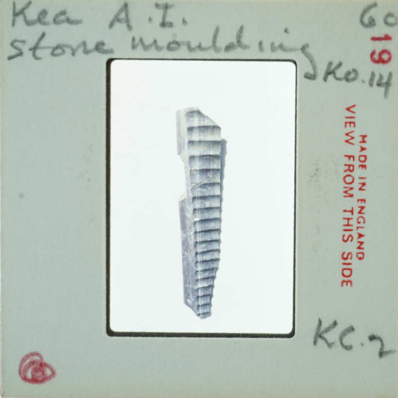 A black and white photograph of a long thin object with straight lines across.