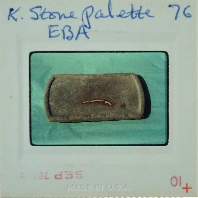 A small, dark object resembling a fossil or stone on a pale blue background with handwritten labels and numbers.