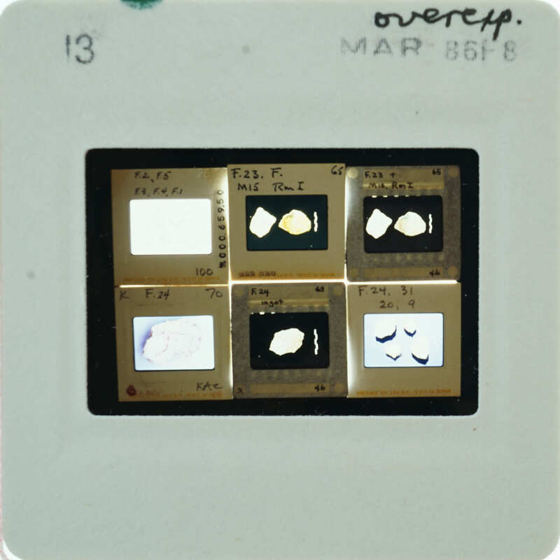 A slide with images of frescoes,