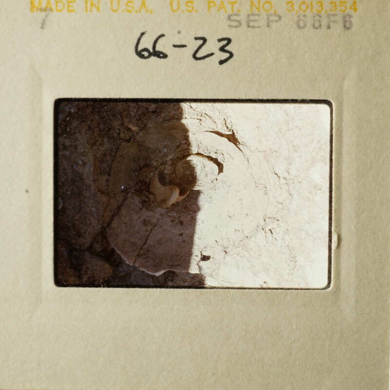 The image shows a close-up of a small, square photograph with a focus on an object in the center, which appears to be a piece of paper or a label with text and numbers, placed within a larger frame.