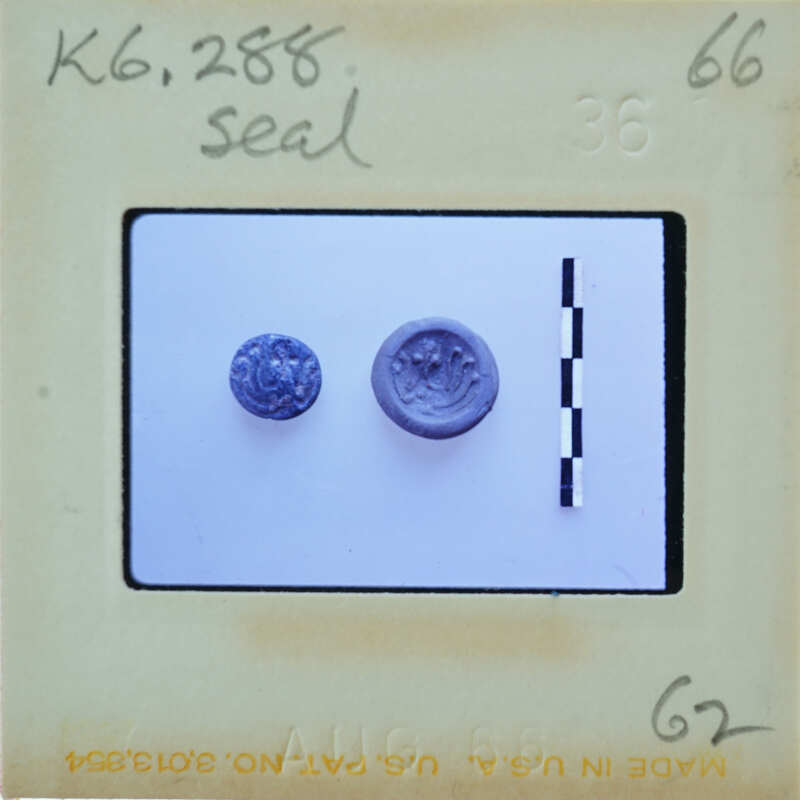 Two small metal buttons with designs on a white background, possibly a scientific or museum display.