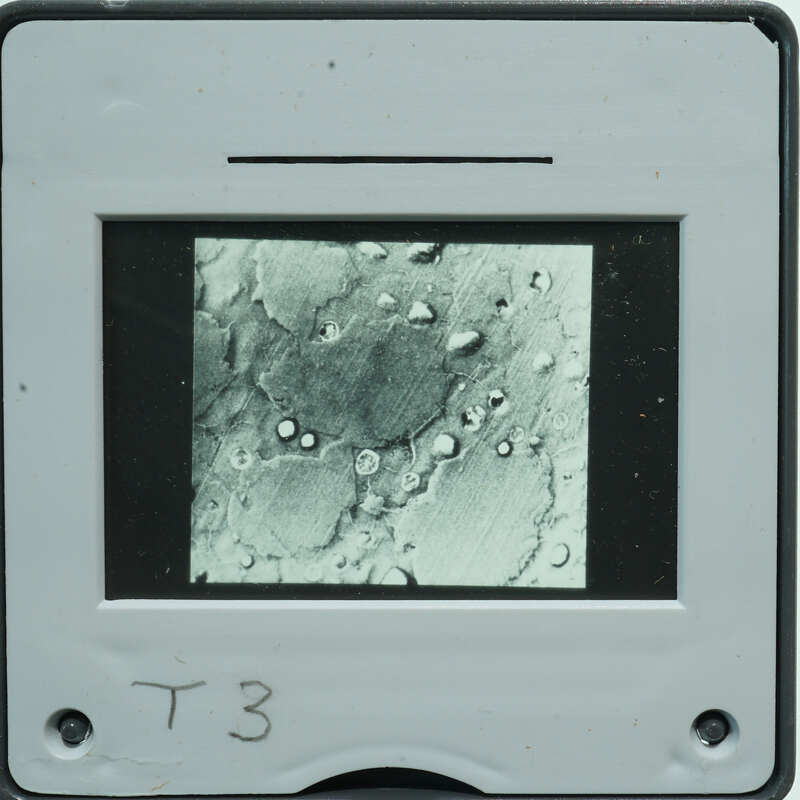 Microscopic detail of stone surface with small circles.